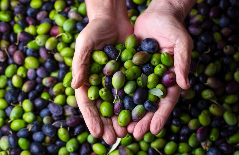 Esencia Espadán - Venta Online de Aceite de Oliva (AOVE) en in Barakaldo