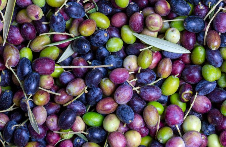Esencia Espadán - Venta Online de Aceite de Oliva (AOVE) en in León