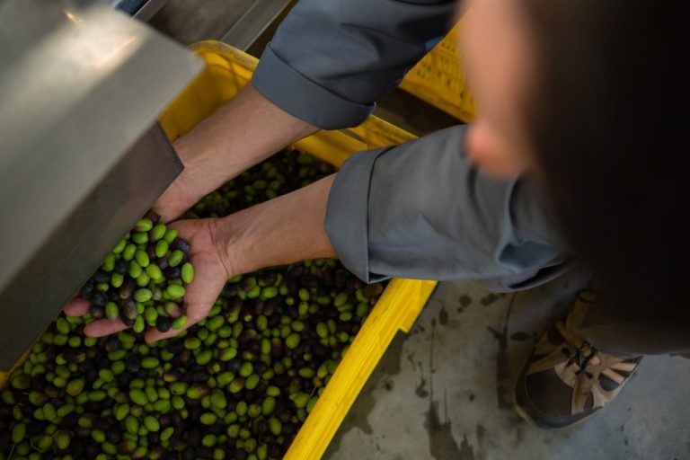Esencia Espadán - Venta Online de Aceite de Oliva (AOVE) en in Teruel